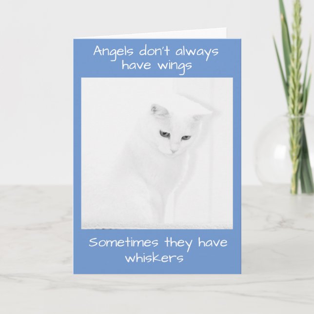 Tarjeta Gato de Ángel Blanco ofrece simpatía (Anverso)