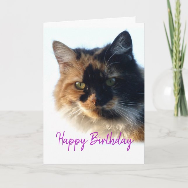 Tarjeta Gato de Calico Cumpleaños (Anverso)