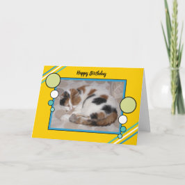 Tarjeta Gato de Calico curvado dormido foto amarillo verde