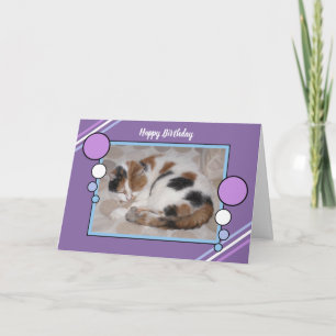 Tarjeta Gato de Calico curvado dormido foto azul púrpura