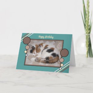 Tarjeta Gato de Calico curvado dormido foto turquesa marró