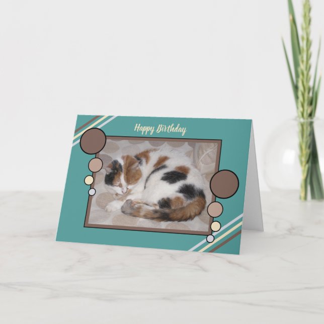 Tarjeta Gato de Calico curvado dormido foto turquesa marró (Anverso)