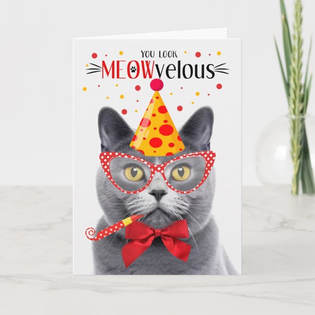 Tarjeta Gato de Chartreux Gris MEOWveloz cumpleaños (Anverso)