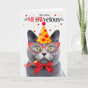 Tarjeta Gato de Chartreux Gris MEOWveloz cumpleaños