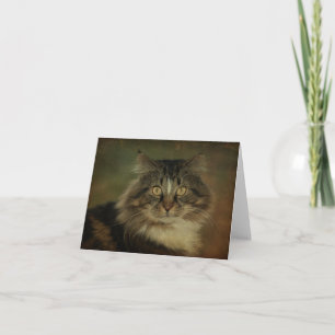 Tarjeta Gato de Coon principal Notecard