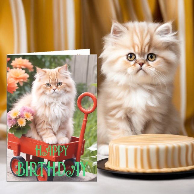 Tarjeta Gato de crema y jengibre tabby en cumpleaños de va (Subido por el creador)
