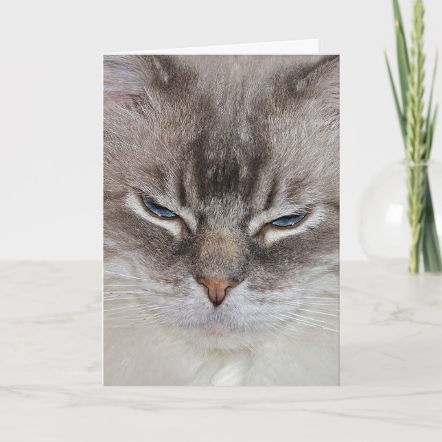 Tarjeta Gato de cumpleaños (Anverso)