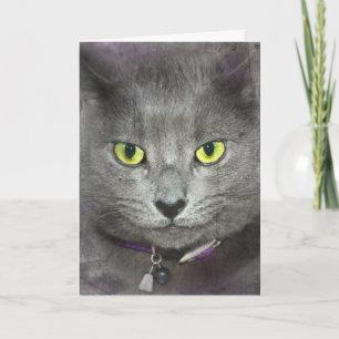 Tarjeta Gato de cumpleaños
