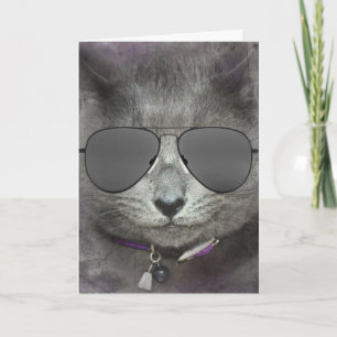 Tarjeta Gato de cumpleaños con gafas de sol aviador