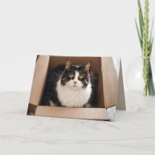 Tarjeta Gato de cumpleaños en caja de cartón