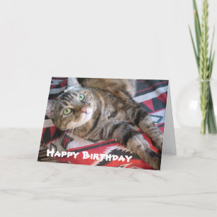Tarjeta Gato de cumpleaños feliz