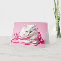 Gato de cumpleaños feliz en cintas rosadas