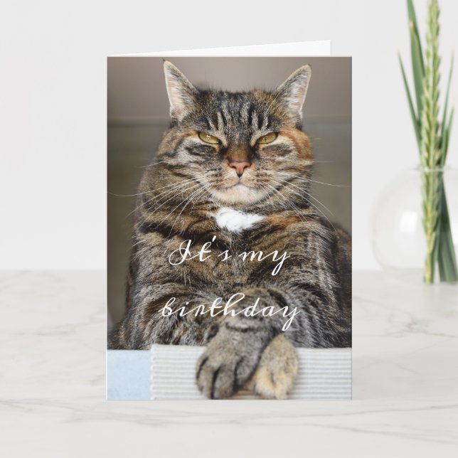Tarjeta Gato de cumpleaños Gracioso Tabby Grumpy Green Eye (Anverso)