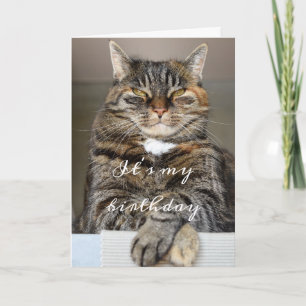 Tarjeta Gato de cumpleaños Gracioso Tabby Grumpy Green Eye