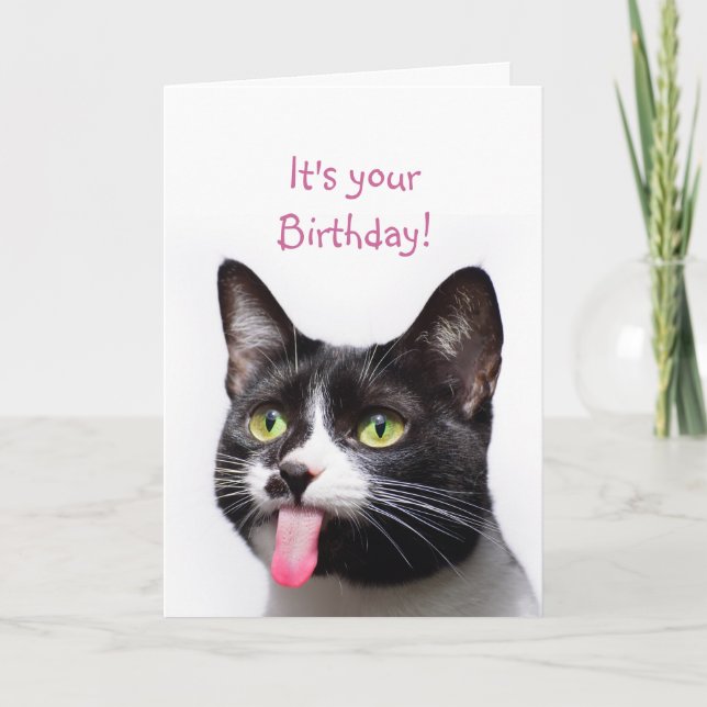 Tarjeta Gato de cumpleaños sacando provecho de humor graci (Anverso)