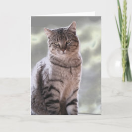 Tarjeta Gato de Efraín