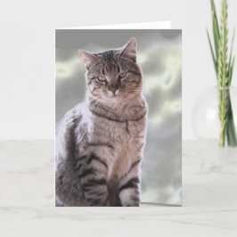 Tarjeta Gato de Efraín