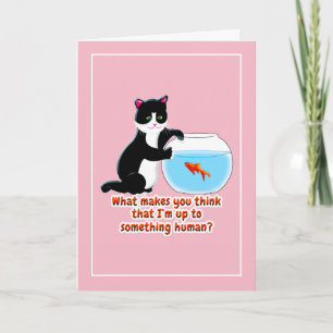 Tarjeta Gato de Fishbowl