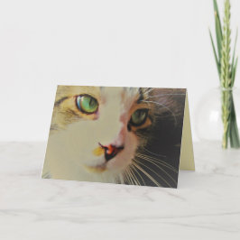 Tarjeta Gato de Glance con ojos verdes