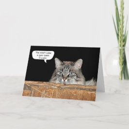 Tarjeta Gato de Granero en el Pajar Cumpleaños