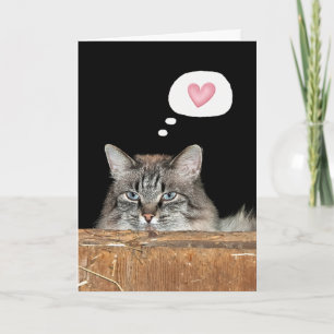 Tarjeta Gato de granero en Hayloft pensando en ti