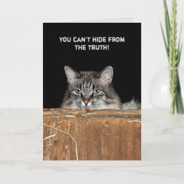 Tarjeta Gato de grano en el cumpleaños de loft en el heno