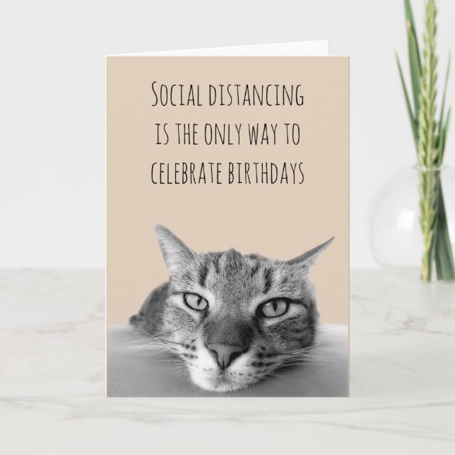 Tarjeta Gato de Grump Feliz Cumpleaños de Distancia Social (Anverso)