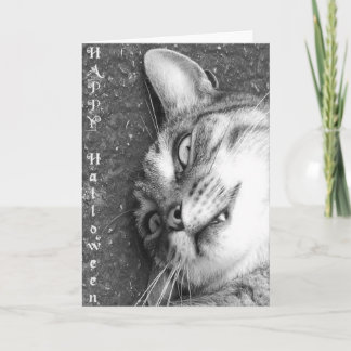 Tarjeta Gato de Halloween