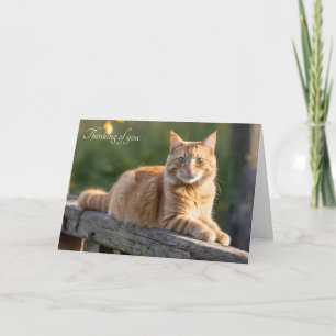 Tarjeta Gato de jengibre en una cerca rústica