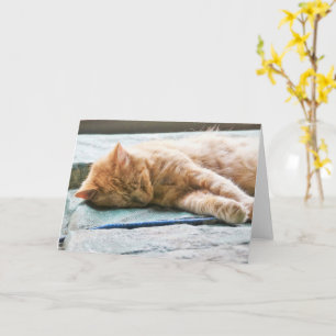 Tarjeta Gato de jengibre longevo dormido