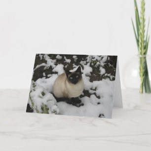 Tarjeta Gato de la nieve