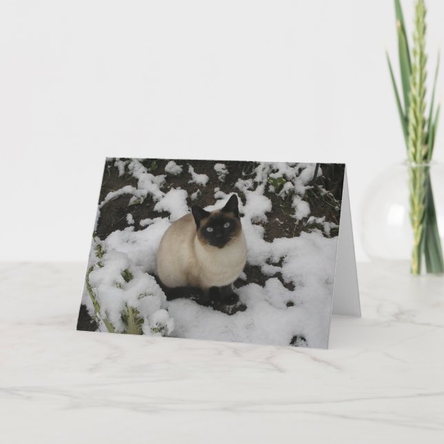 Tarjeta Gato de la nieve (Anverso)