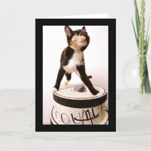 Tarjeta Gato de las costuras