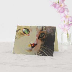 Tarjeta Gato de Mirada Fugaz con Ojos Verdes