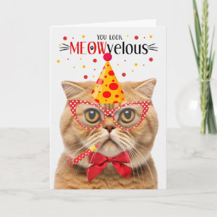 Tarjeta Gato de Naranja de Plegado escocés MEOWvelous Cump