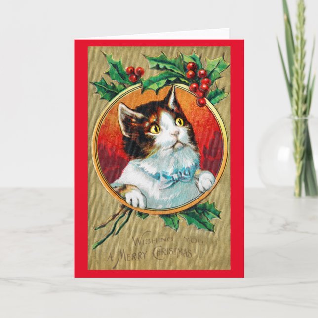 Tarjeta Gato de Navidad, Xmas (Anverso)