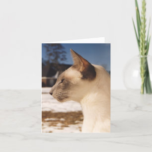 Tarjeta Gato de nieve - Perfil de punto azul siamés