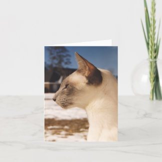 Tarjeta Gato de nieve - Perfil de punto azul siamés