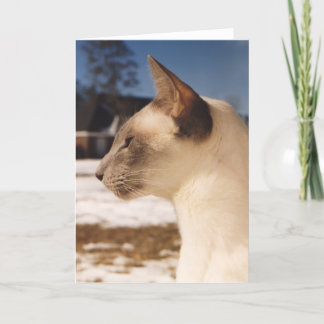 Tarjeta Gato de nieve - Perfil de punto azul siamés