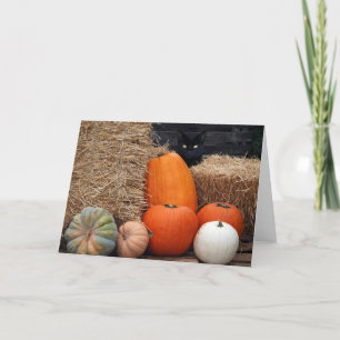 Tarjeta Gato de otoño