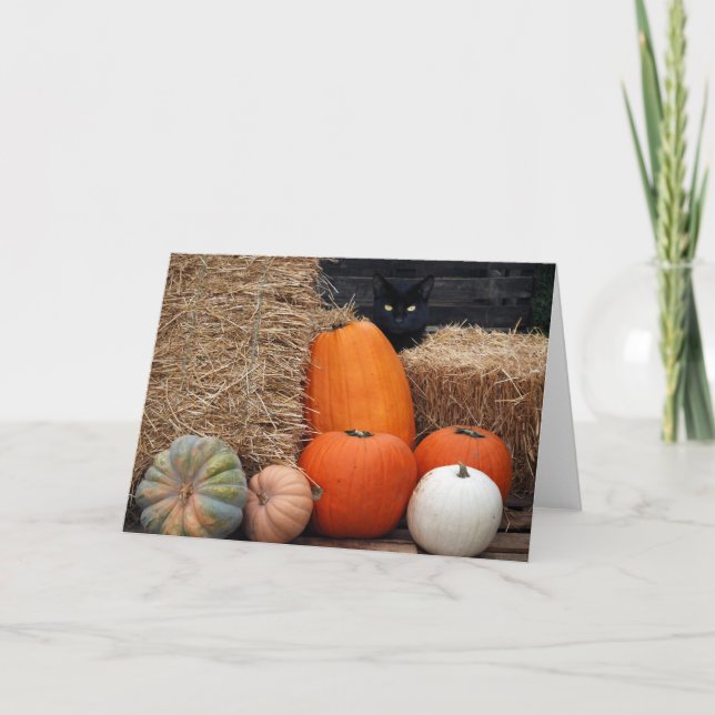 Tarjeta Gato de otoño (Anverso)