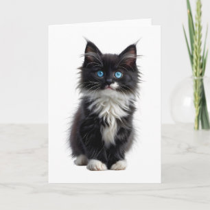 Tarjeta Gato de pelo largo blanco y negro ojos azules en b
