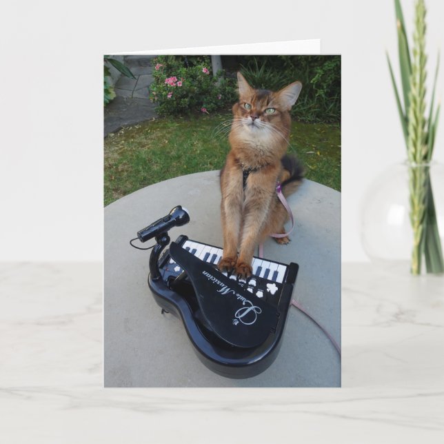 Tarjeta Gato de piano, músico de gato somalí tocando piano (Anverso)