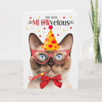 Gato de punto de foca birmano MEOWveloz cumpleaños