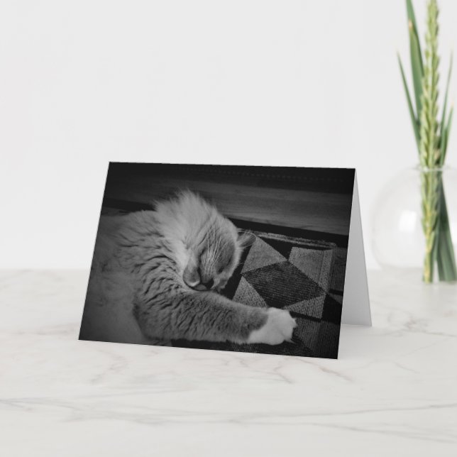 Tarjeta Gato de Ragdoll (Anverso)