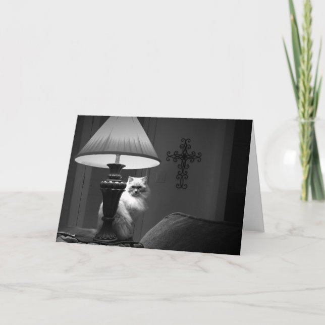 Tarjeta Gato de Ragdoll/Noir (Anverso)