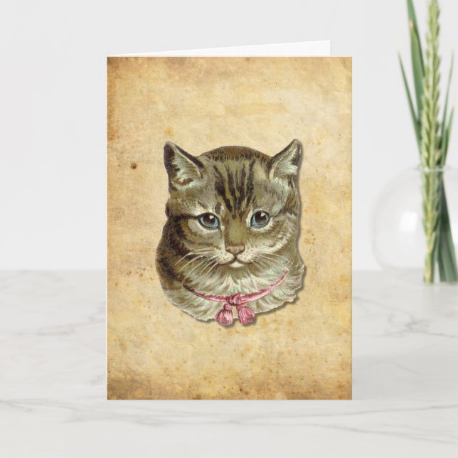 Tarjeta Gato de Tabby (Anverso)