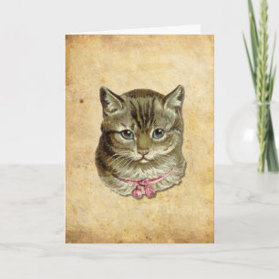 Tarjeta Gato de Tabby