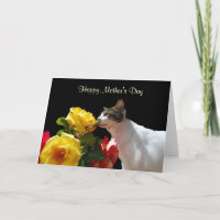 Gato de Tabby con el día de madre de los rosas