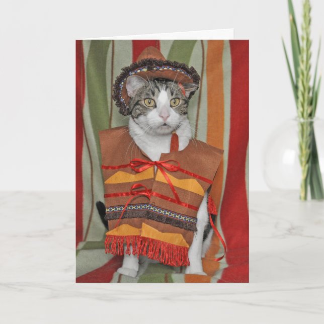 Tarjeta Gato de Tabby de Cinco de Mayo (Anverso)